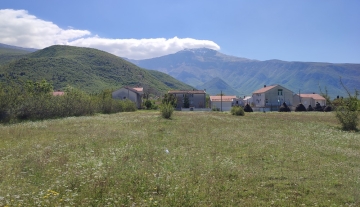 353/ PZ, Zemljište Potoci